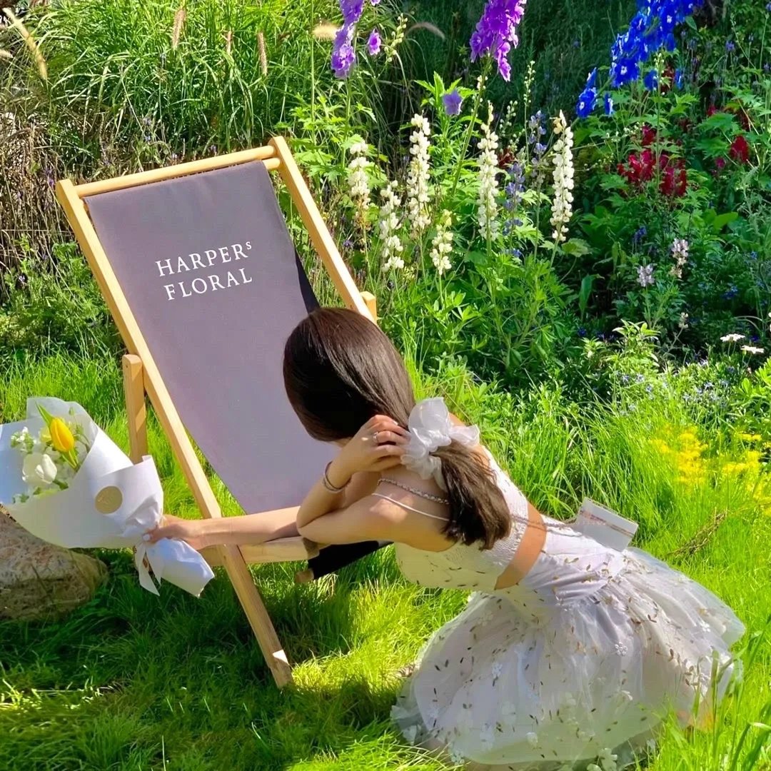 戴夫·查佩尔：胜利最终章